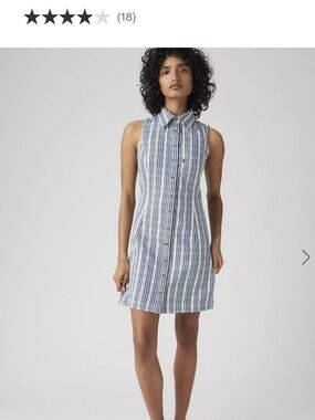 Levis Zeda Denim Striped Dress